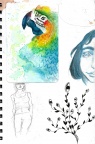 Pages de carnet